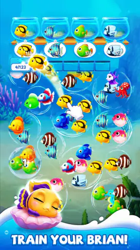 Fish Sort Puzzle: 퍼즐 게임 screenshot