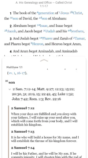 Holy Bible Recovery Version screenshot