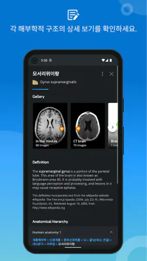 IMAIOS e-Anatomy screenshot