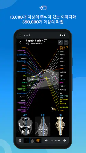 IMAIOS vet-Anatomy screenshot