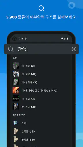 IMAIOS vet-Anatomy screenshot
