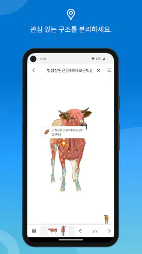 IMAIOS vet-Anatomy screenshot