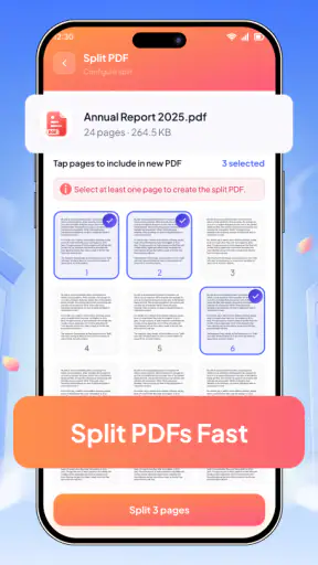 Luminix PDF screenshot