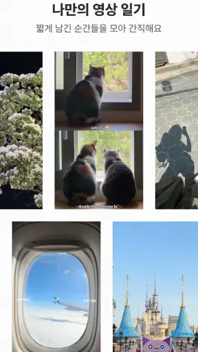Shardee 샤디 | Daily vlog camera screenshot
