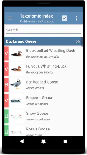 Sibley Birds 2nd Edition screenshot