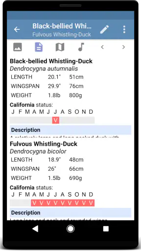 Sibley Birds 2nd Edition screenshot