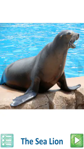 Teach Your Kids Animal Sounds screenshot