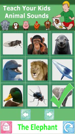 Teach Your Kids Animal Sounds screenshot