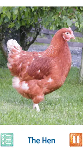 Teach Your Kids Animal Sounds screenshot