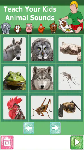 Teach Your Kids Animal Sounds screenshot