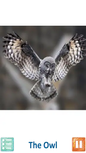 Teach Your Kids Animal Sounds screenshot