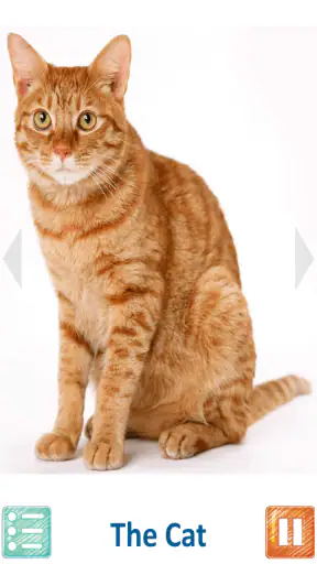 Teach Your Kids Animal Sounds screenshot