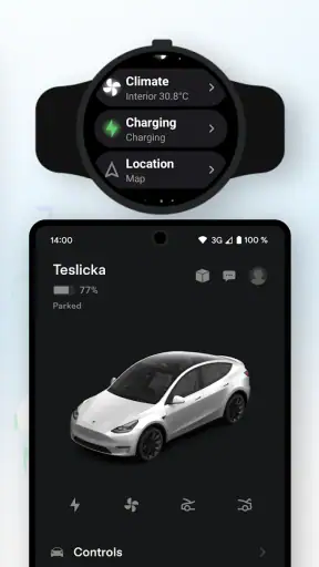 Teswear: Tesla용 시계 앱 screenshot
