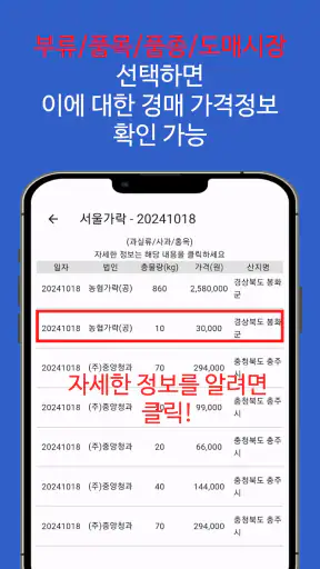 농수산물 실시간 경매 가격 정보 - 도매시장 screenshot