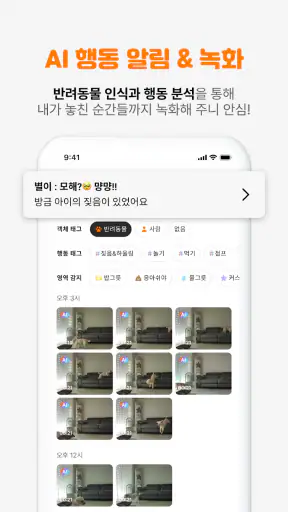 도기보기: AI 펫 CCTV, 행동감지, 강아지, 펫캠 screenshot