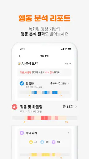 도기보기: AI 펫 CCTV, 행동감지, 강아지, 펫캠 screenshot