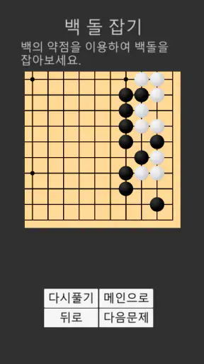 바둑배우기 (문제집) screenshot