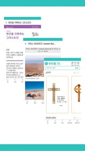 바이블25 성경 찬송 - 성경사전, 다번역 개역개정 screenshot