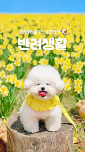 반려생활 - 반려동물 1등 여행앱 screenshot