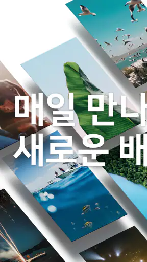 배경화면 HD (OGQ Backgrounds) screenshot