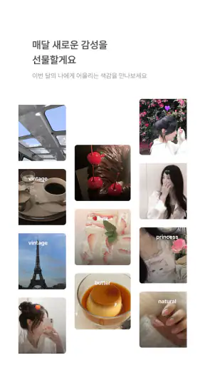 베리필름 Berryfilm - 60만 팬이 사랑한 필터 screenshot