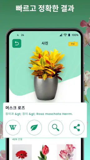 식물이름찾기어: 꽃 검색 - 꽃이름찾기어플 screenshot