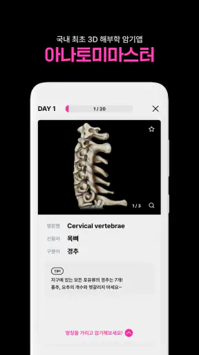 아나토미마스터 - 이파마스터가 만든 해부학 암기앱 screenshot