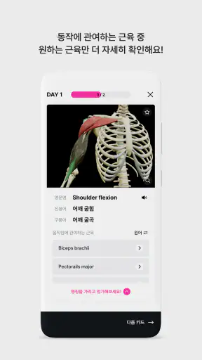 아나토미마스터 - 이파마스터가 만든 해부학 암기앱 screenshot