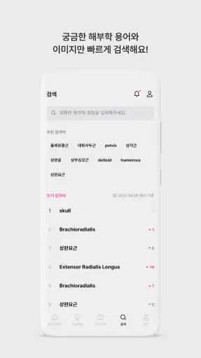 아나토미마스터 - 이파마스터가 만든 해부학 암기앱 screenshot