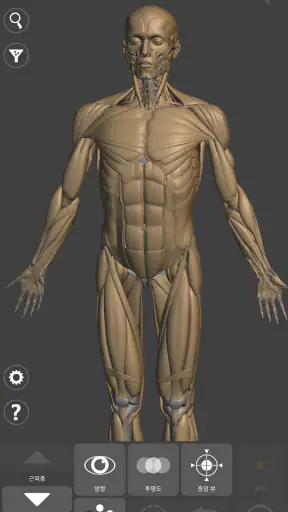 예술가용 3D 해부학 screenshot