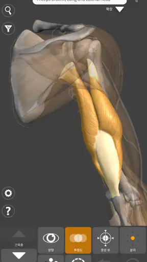 예술가용 3D 해부학 screenshot