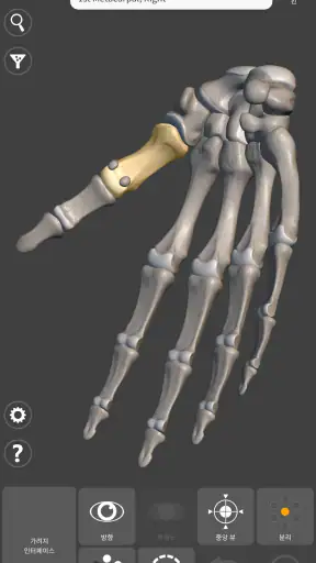 예술가용 3D 해부학 screenshot