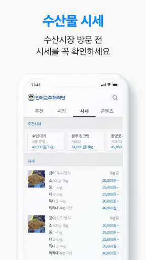인어교주해적단 - 전국 수산시장 당일시세, 수산물 정보 screenshot
