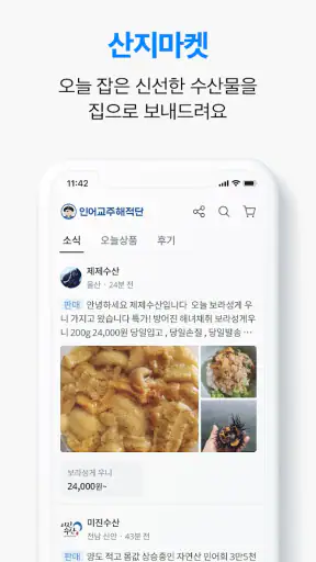 인어교주해적단 - 전국 수산시장 당일시세, 수산물 정보 screenshot
