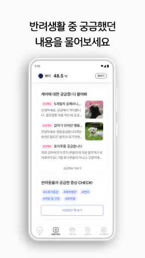 인투펫 - 펫 AI 에이전트 screenshot