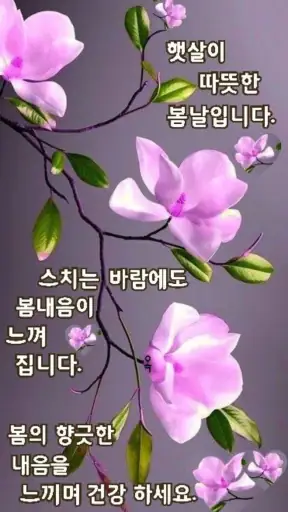 좋은 아침 & 좋은 아침 인사말 카드 screenshot