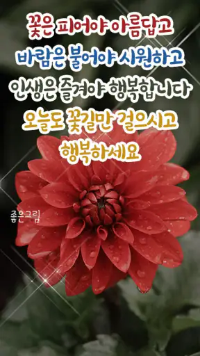 좋은하루-인사말 이미지 배경화면 좋은아침 글귀 screenshot