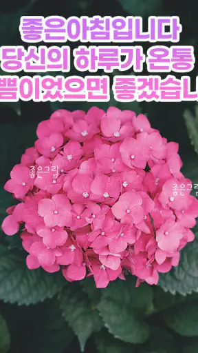 좋은하루-인사말 이미지 배경화면 좋은아침 글귀 screenshot