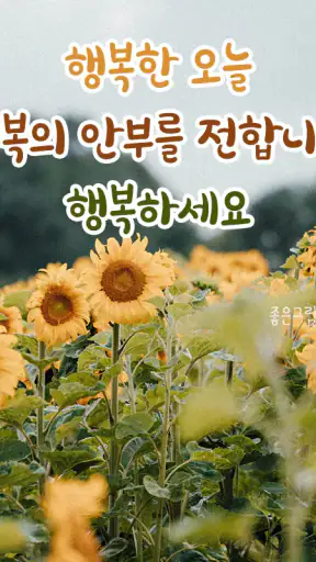 좋은하루-인사말 이미지 배경화면 좋은아침 글귀 screenshot