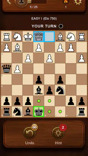 체스 screenshot