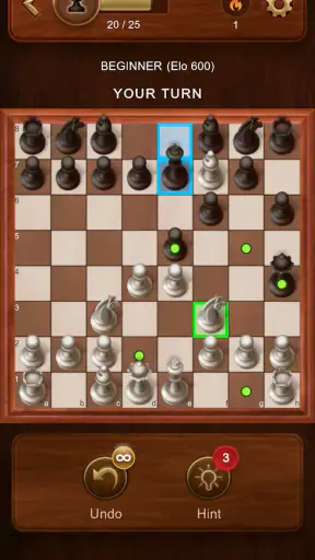 체스 screenshot