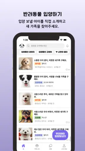 퍼피링크 - 반려동물 입양 플랫폼 screenshot