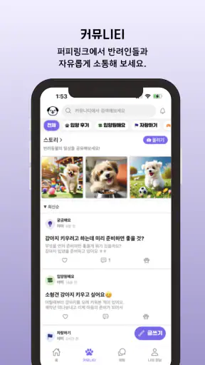 퍼피링크 - 반려동물 입양 플랫폼 screenshot