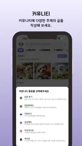 퍼피링크 - 반려동물 입양 플랫폼 screenshot
