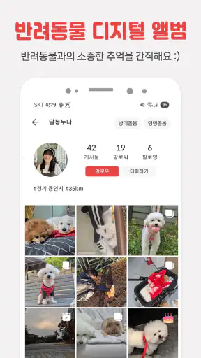 펫시터, 전국 1등 검증된 펫시터, 가까워서 편리 저렴 screenshot