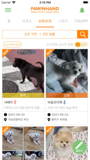 포인핸드 -유기동물 입양&실종동물 찾기(유기견,유기묘) screenshot