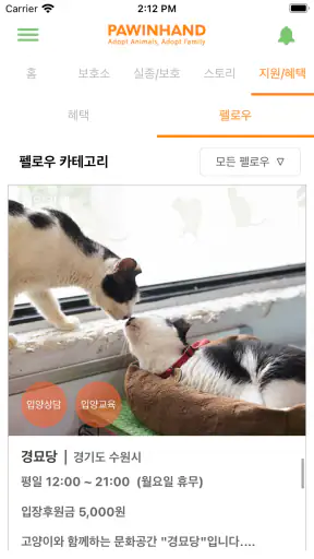 포인핸드 -유기동물 입양&실종동물 찾기(유기견,유기묘) screenshot