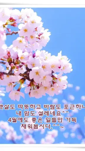 포토카드!mFun - 인사,문자,크리스마스,연말,새해 screenshot