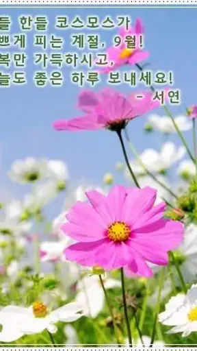 포토카드!mFun - 인사,문자,크리스마스,연말,새해 screenshot