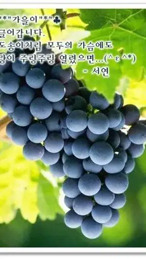 포토카드!mFun - 인사,문자,크리스마스,연말,새해 screenshot
